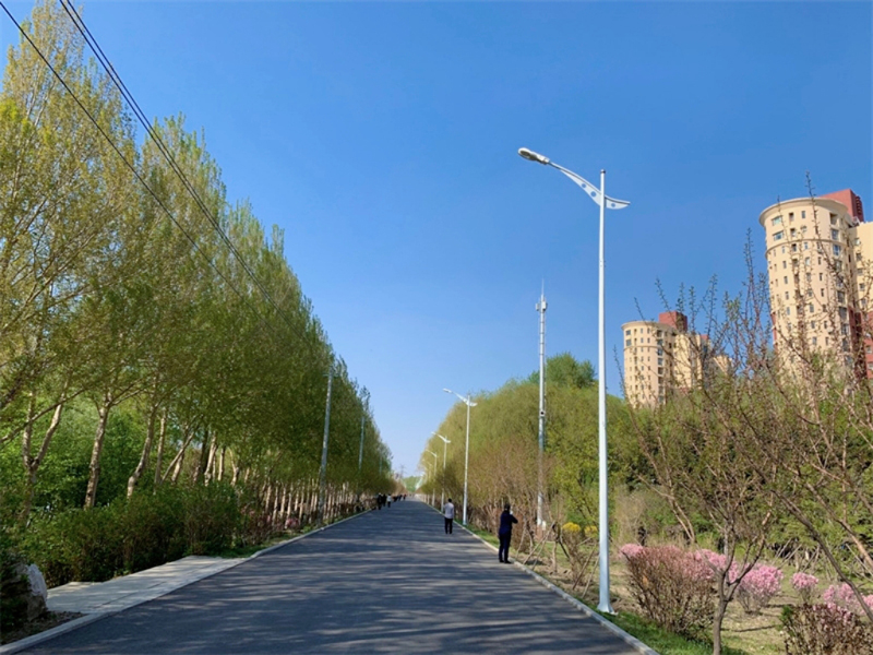 6886f16c4aaf5.jpg 2.jpg